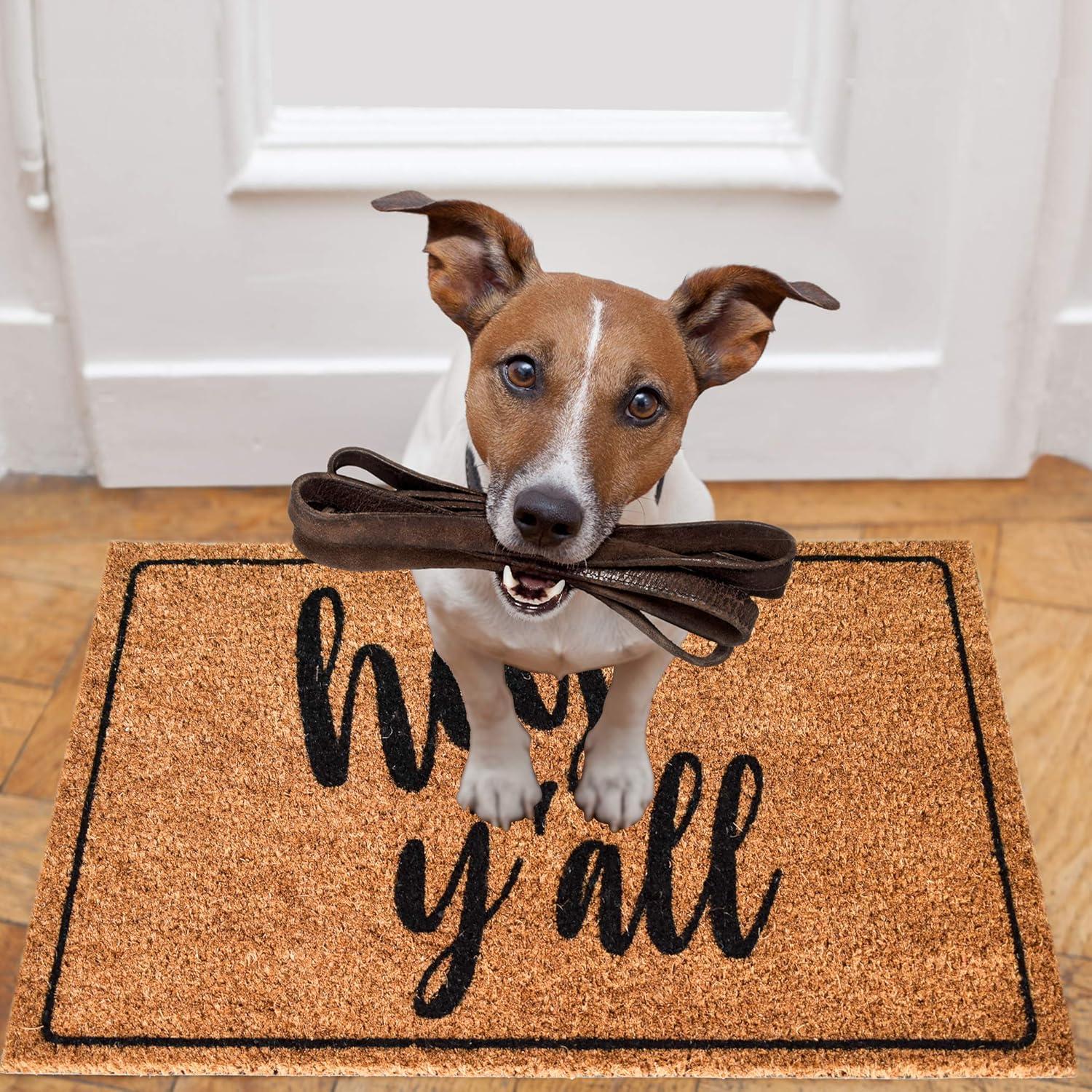 image:imageNINAMAR Door Mat Hey Yall Natural Coir 295 x 175 inch