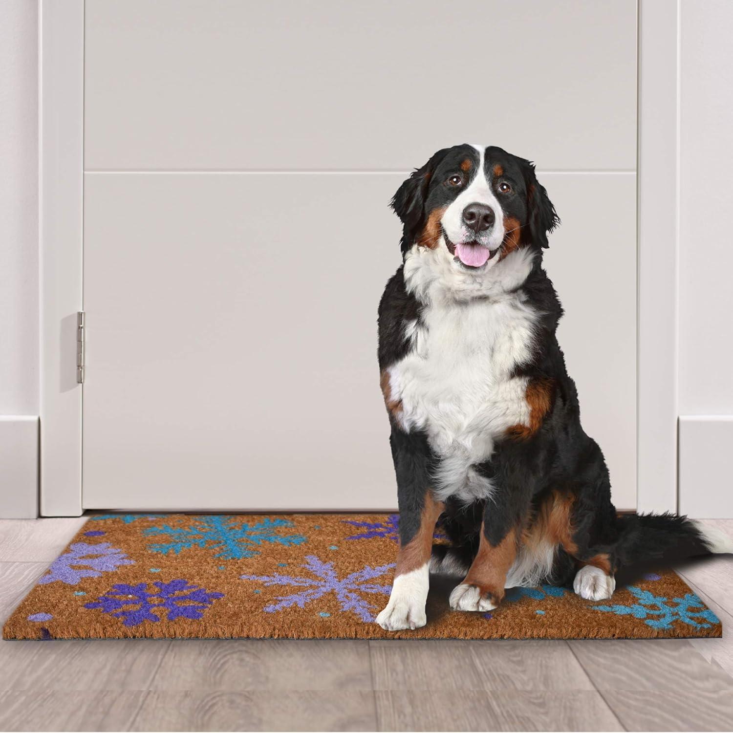 image:imageNINAMAR Door Mat Winter Snowflakes Natural Coir 295 x 175 inch